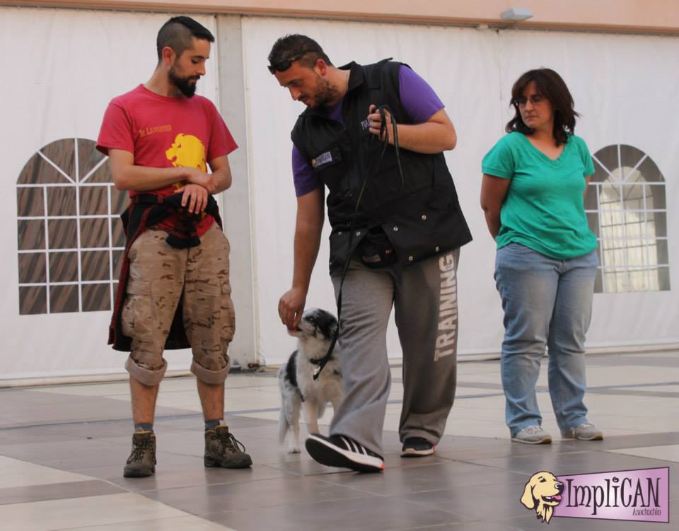 Educación canina Un adiestrador y dos personas con un perro