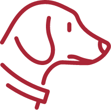 Grupo 29 icono perro