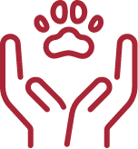 icono educación<br />