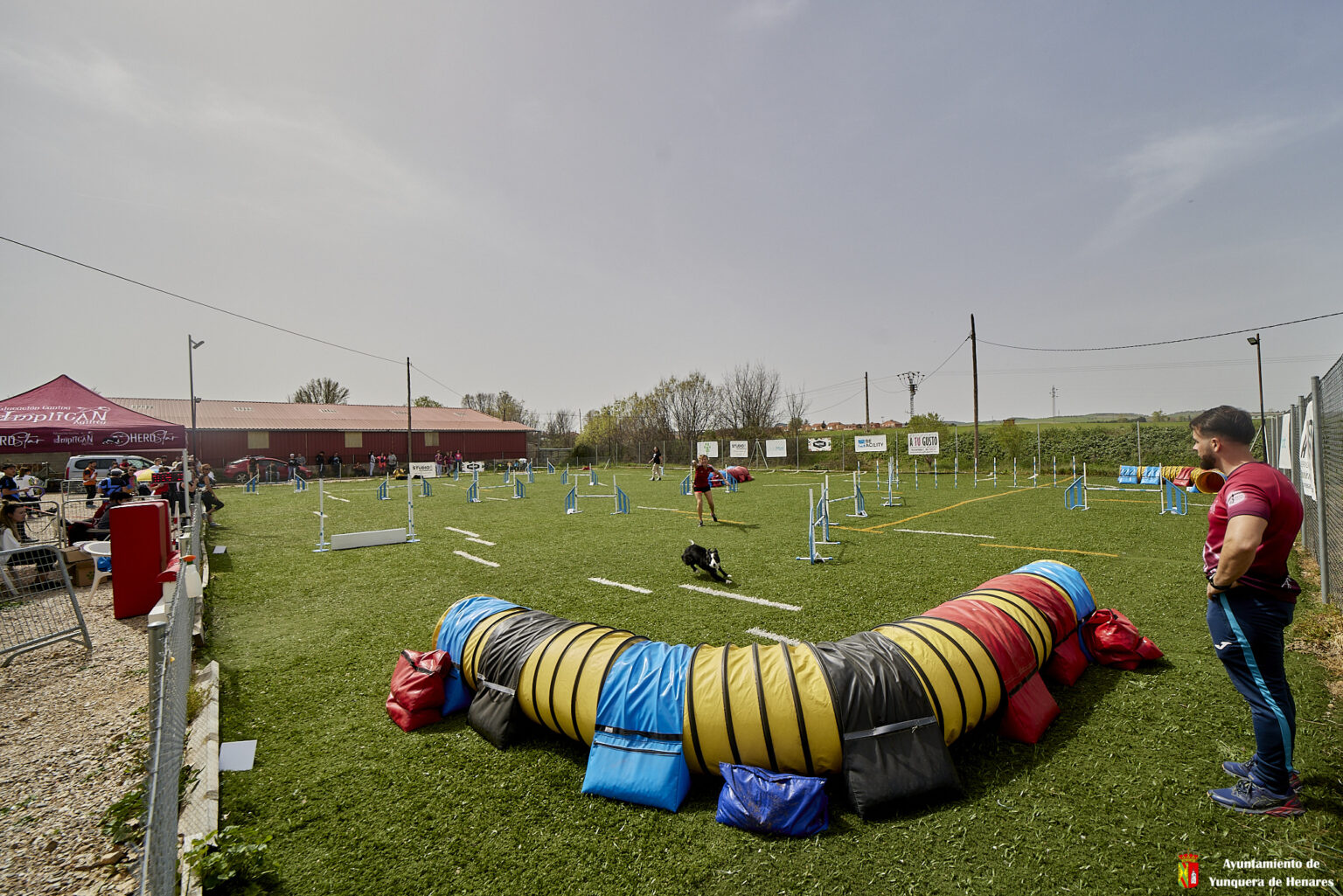 Pista de Agility